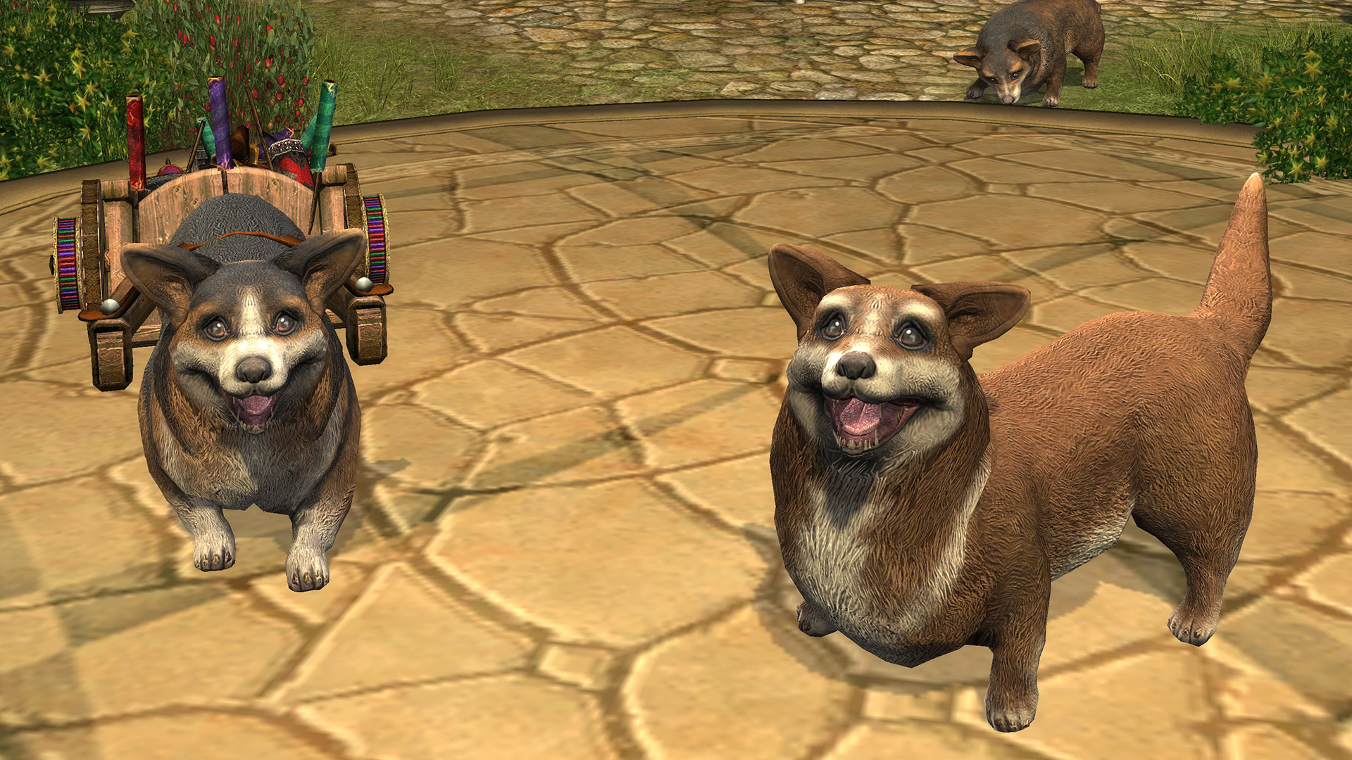 Anklicken zum Zoomen Zierwerk Pets