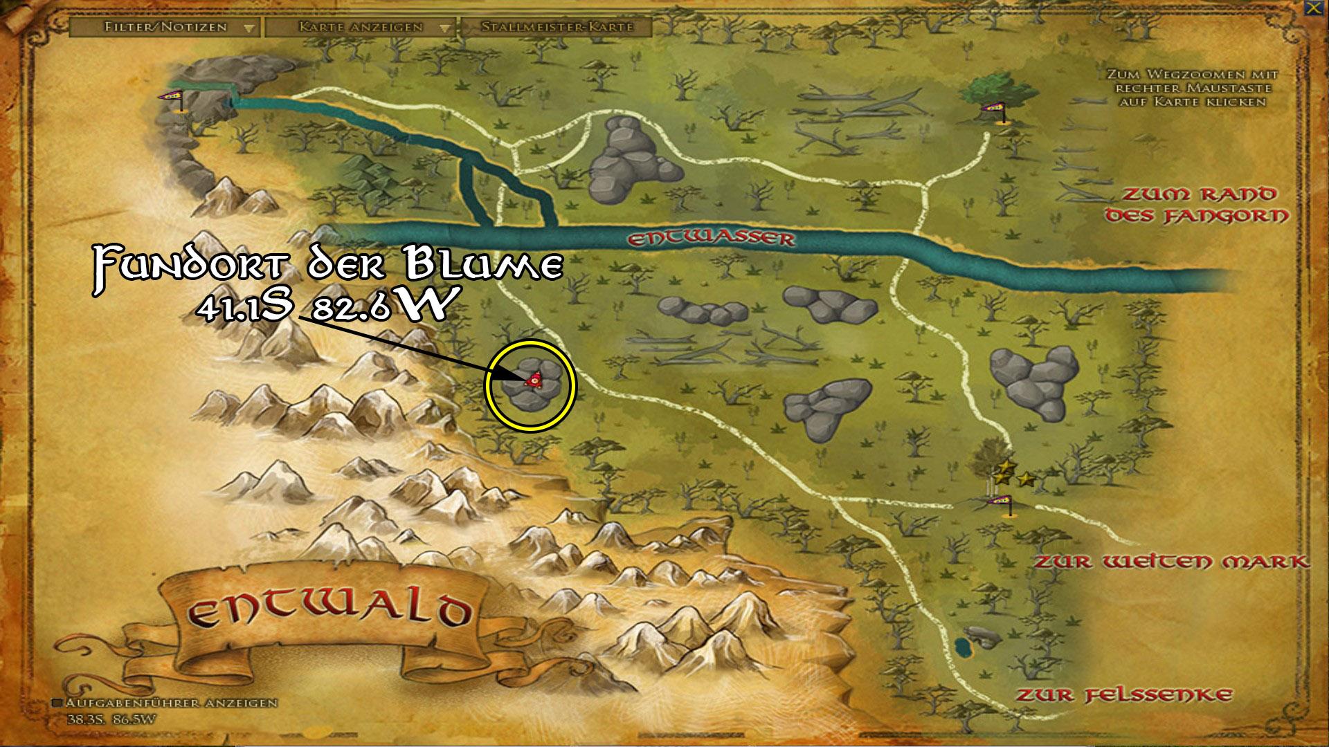 Fundort der Blume im Wald Fundort der Blume im Wald